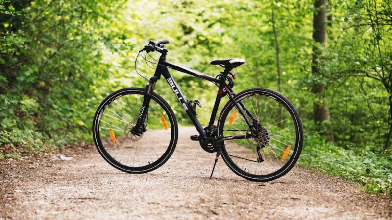 Aspectos a tener en cuenta antes de elegir una bicicleta