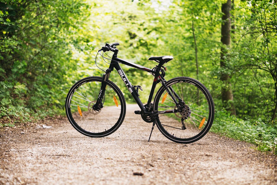 Aspectos a tener en cuenta antes de elegir una bicicleta