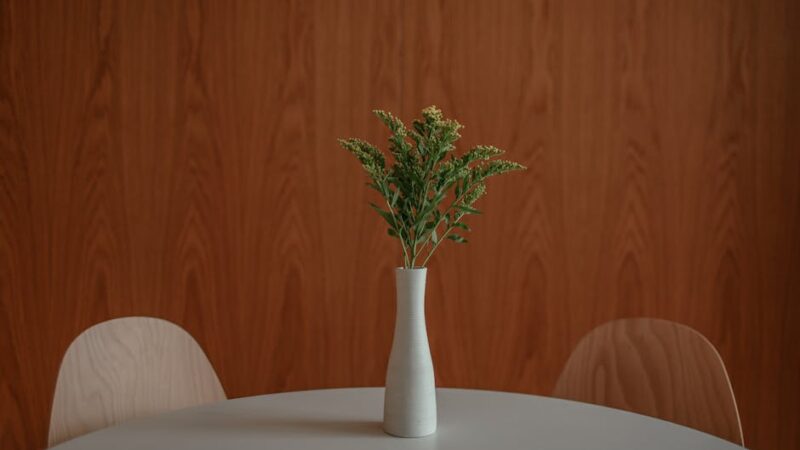 Cómo colocar los muebles según el Feng Shui