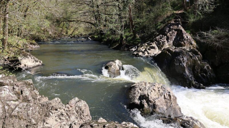 ¿Cómo influye la cercanía de un río en la fertilidad del suelo?