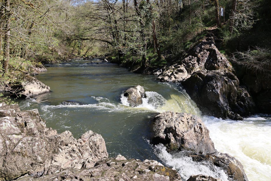 ¿Cómo influye la cercanía de un río en la fertilidad del suelo?