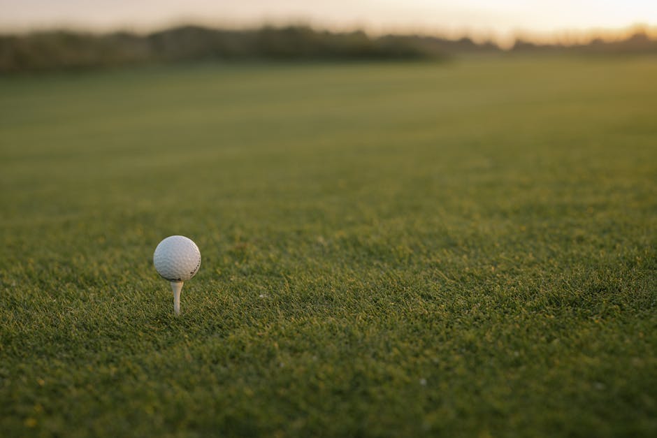 ¿Cuál es el reglamento del golf?