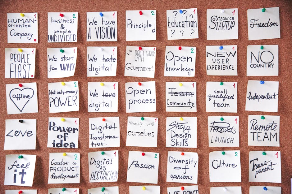 ¿Cuáles son las etapas del proceso motivacional?