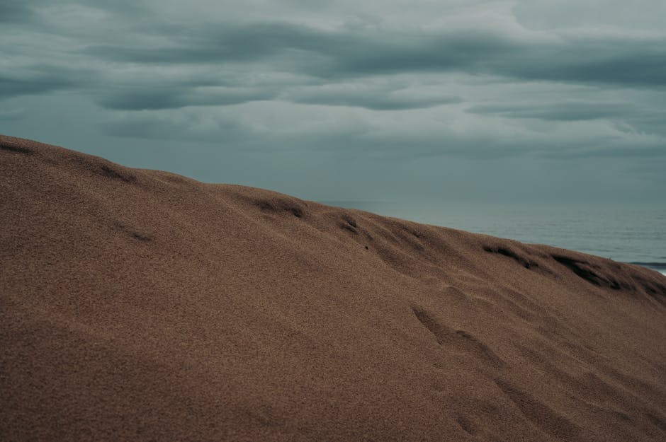 ¿Cuáles son los elementos del medio ambiente?