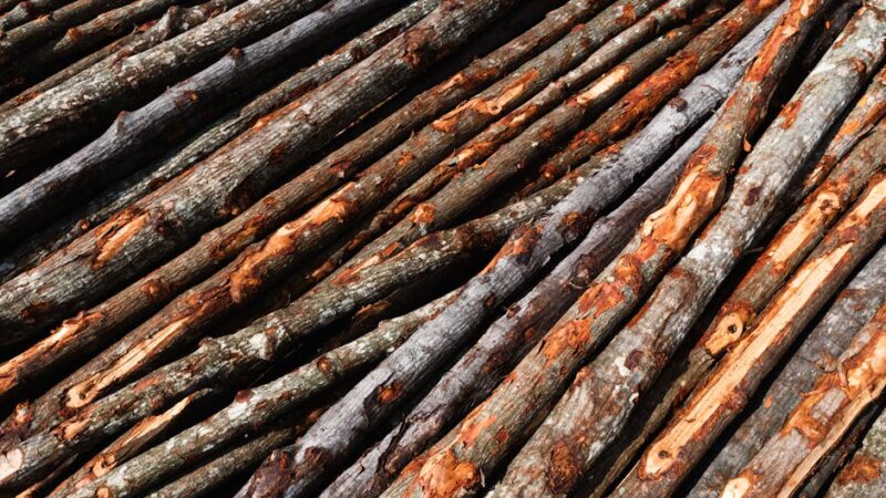 ¿Cuáles son los recursos naturales de Argentina?
