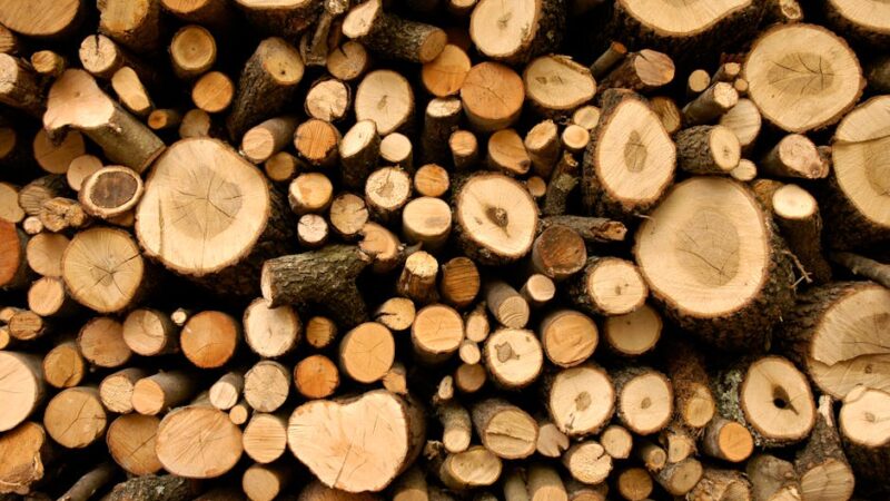 ¿Cuáles son los recursos naturales de Estados Unidos?