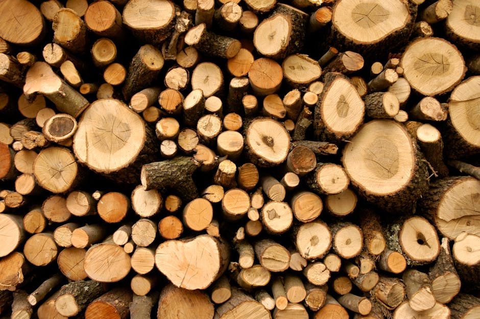 ¿Cuáles son los recursos naturales de Estados Unidos?