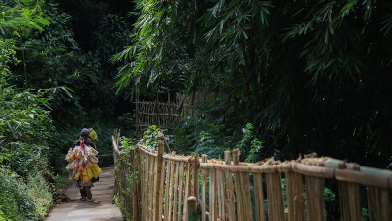 ¿Cuáles son los recursos naturales de Guatemala?