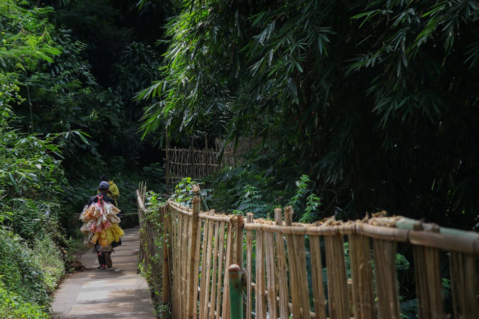 ¿Cuáles son los recursos naturales de Guatemala?