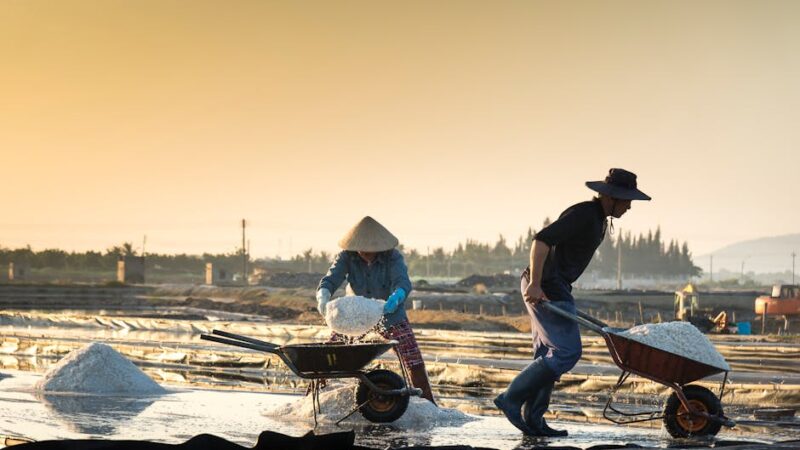 ¿Cuáles son los recursos naturales de México?