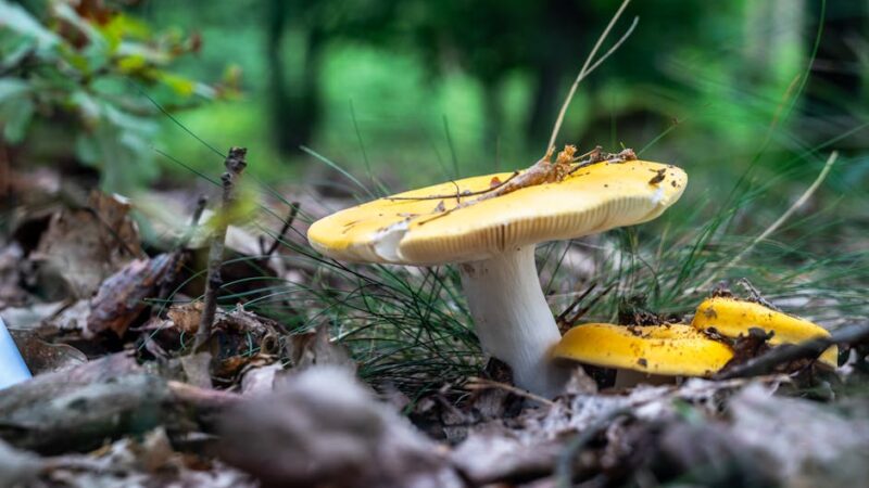 El impacto de las actividades humanas sobre la naturaleza