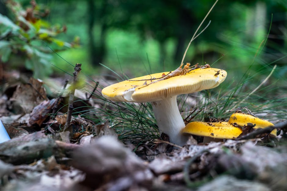 El impacto de las actividades humanas sobre la naturaleza