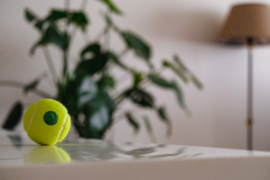 El tenis de mesa como deporte