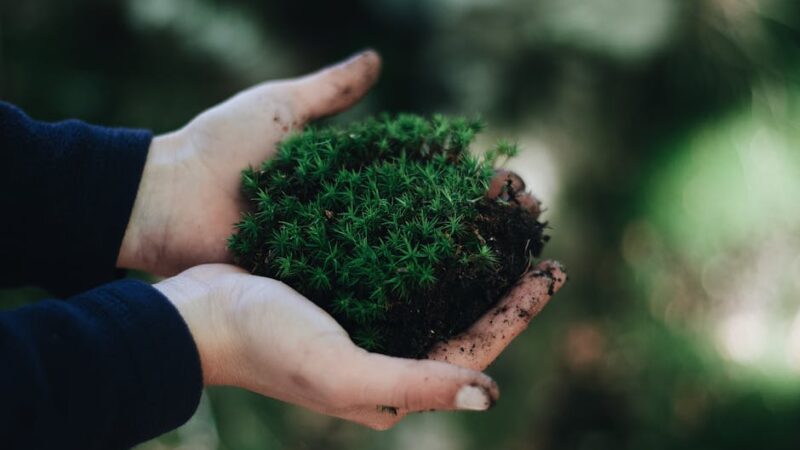La importancia de conservar los ecosistemas