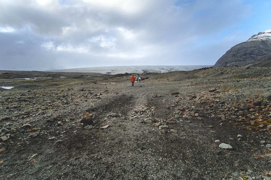 La marcha nórdica (nordic walking), el deporte más fácil y completo