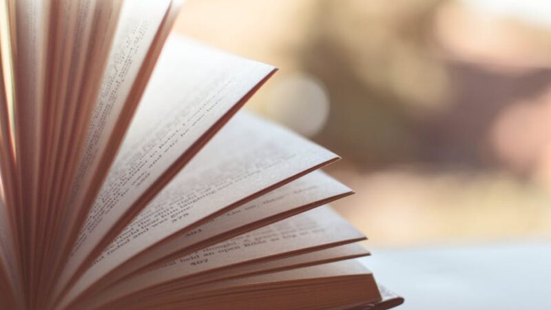 Libros De Álvaro Pombo