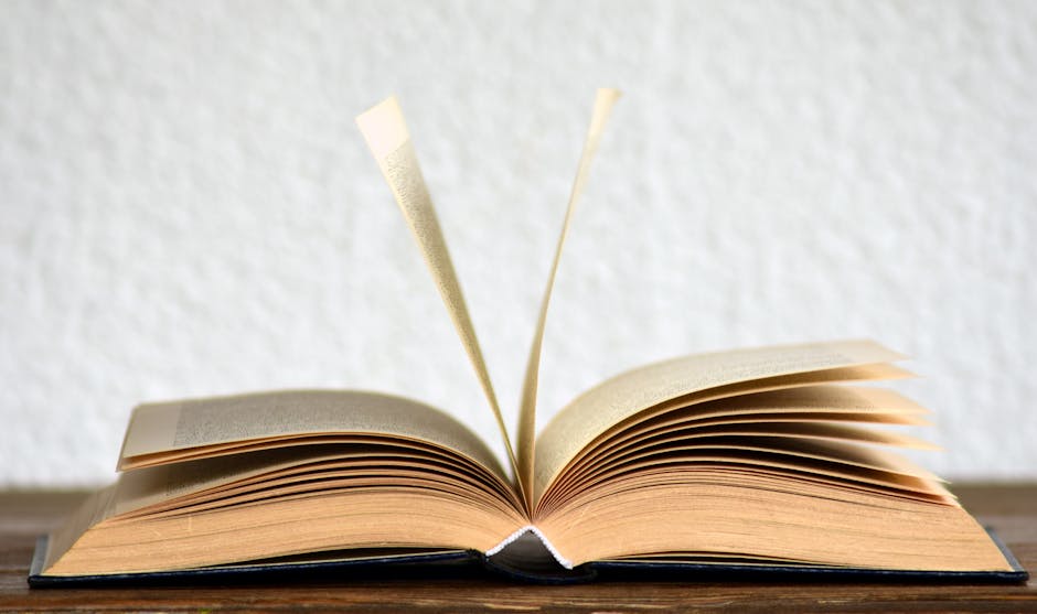 Libros De Elvira Lindo