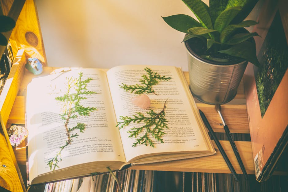 Libros De Matilde Asensi