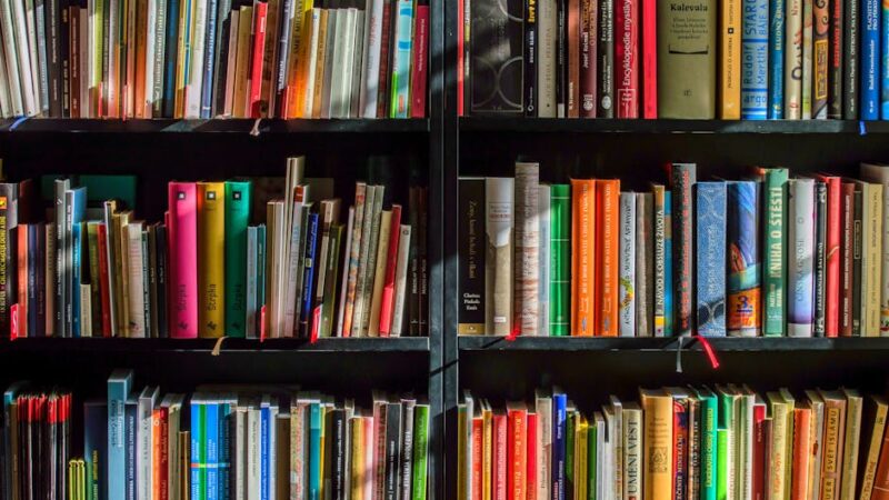 Libros De Romance Juvenil