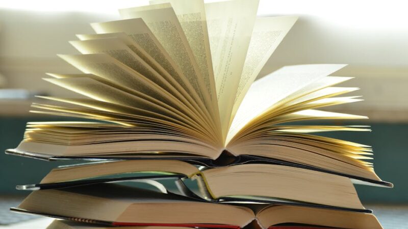Libros Para Niñas De 12 Años