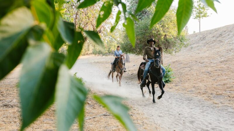Los diferentes tipos de deportes con caballos que existen