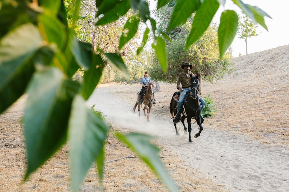 Los diferentes tipos de deportes con caballos que existen