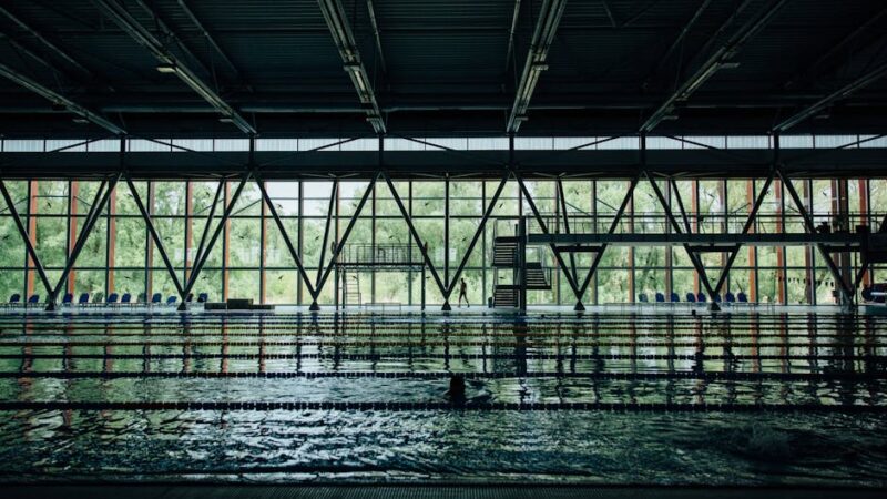 Los estilos básicos de la natación