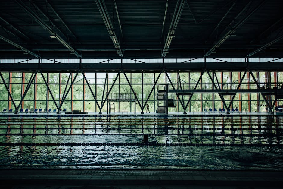 Los estilos básicos de la natación