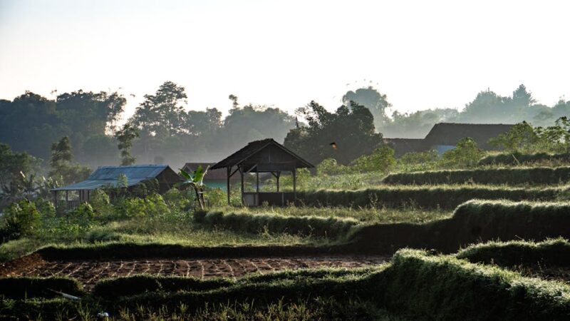 Los principios de la sustentabilidad del medio ambiente
