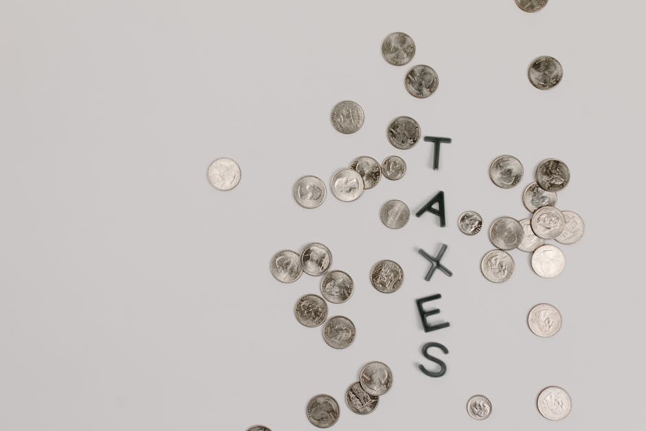 Para qué sirve la recaudación de impuestos, tasas y gravámenes