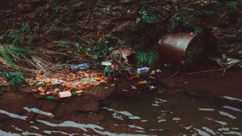 Principales causas de la contaminación del agua