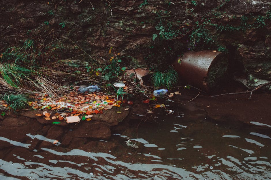 Principales causas de la contaminación del agua