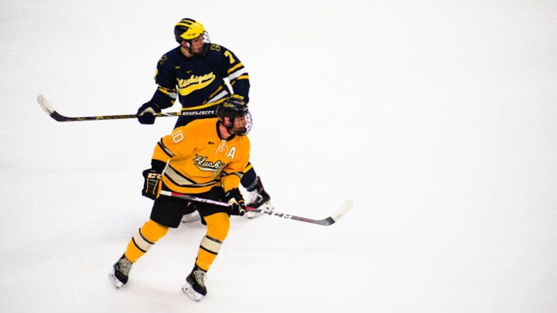 ¿Qué deportes hay sobre hielo?