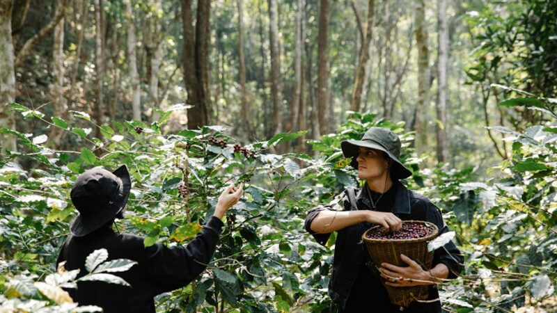 ¿Qué es el departamento de producción?