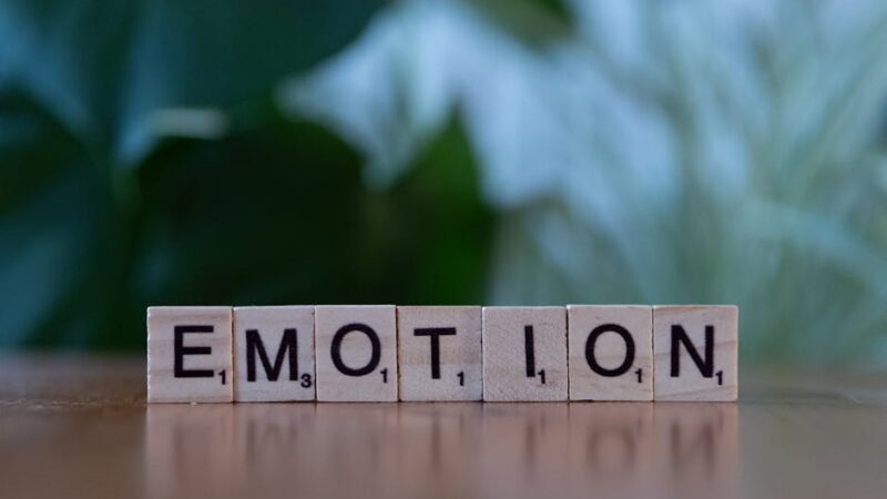 ¿Qué es el JOMO (Joy of Missing Out)?