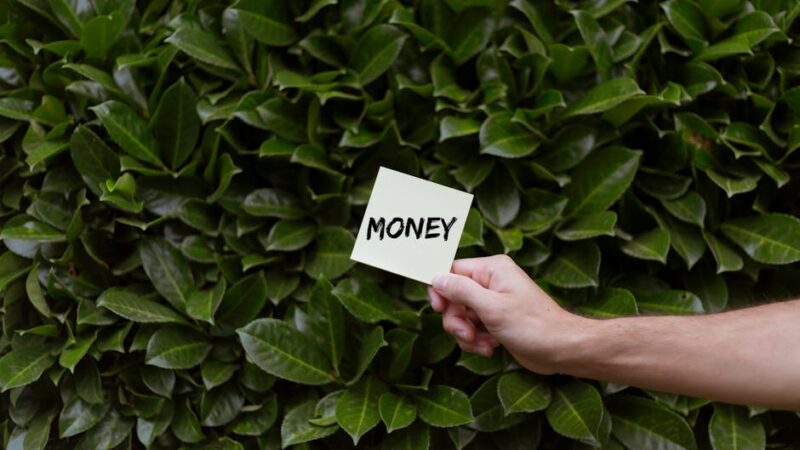 ¿Qué es el macroambiente de una empresa?