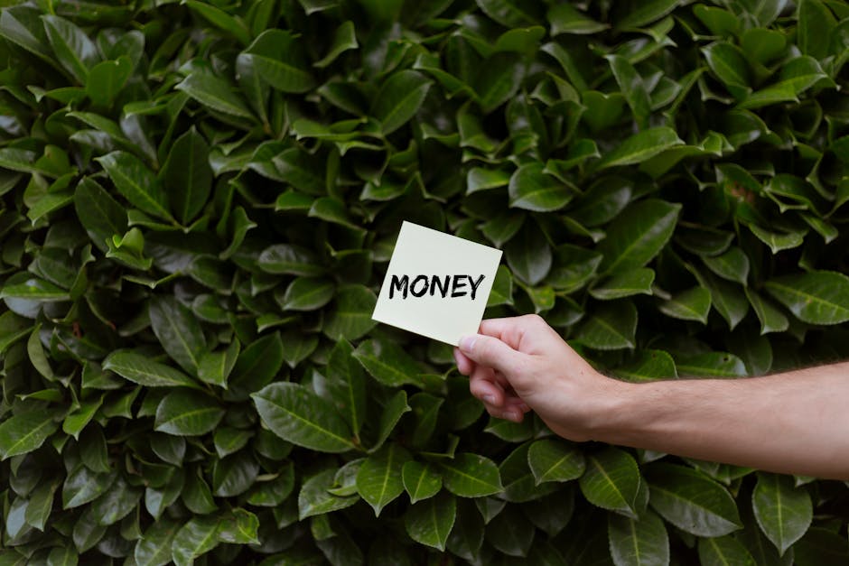 ¿Qué es el macroambiente de una empresa?