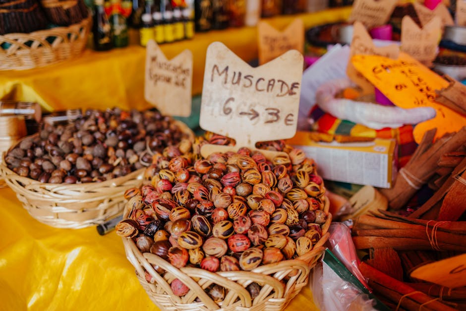 ¿Qué es el mercado potencial?