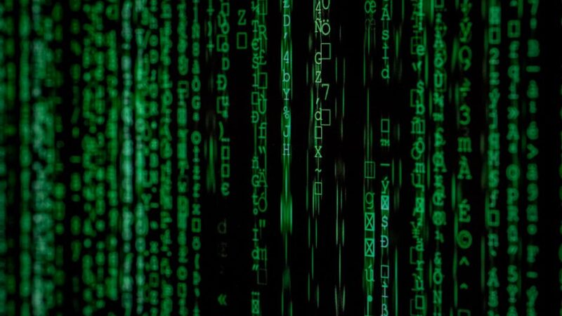 ¿Qué es el sesgo binario y cómo afecta a nuestra manera de pensar?