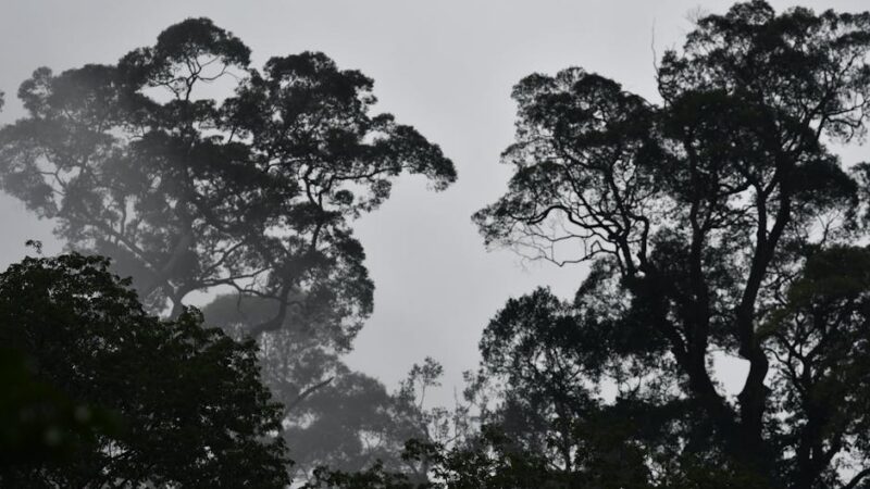 ¿Qué es el tiempo atmosférico?