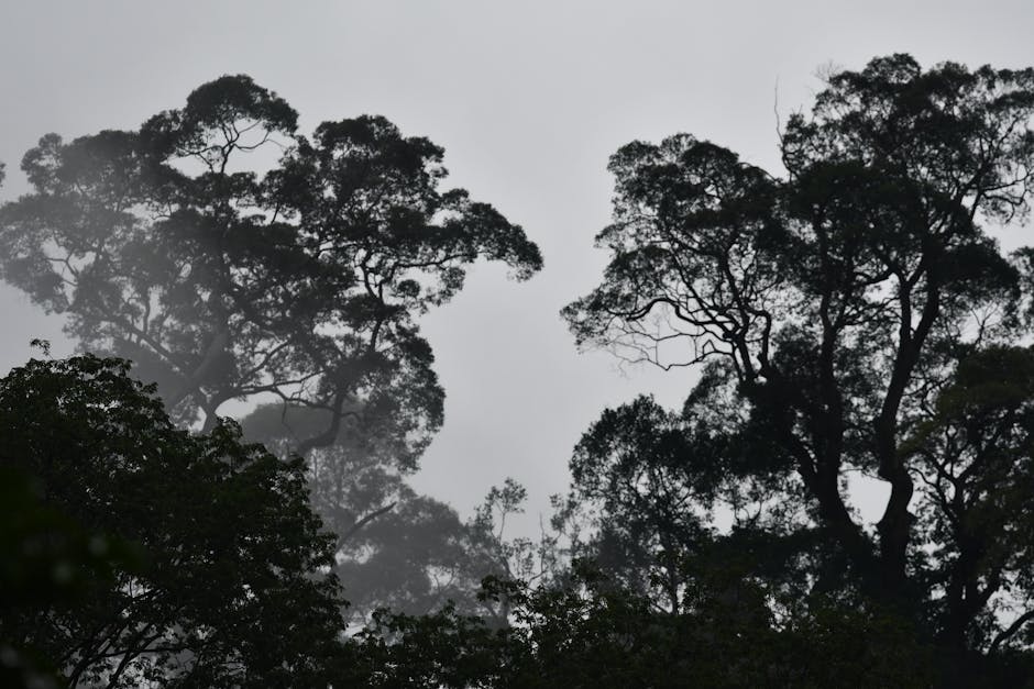 ¿Qué es el tiempo atmosférico?