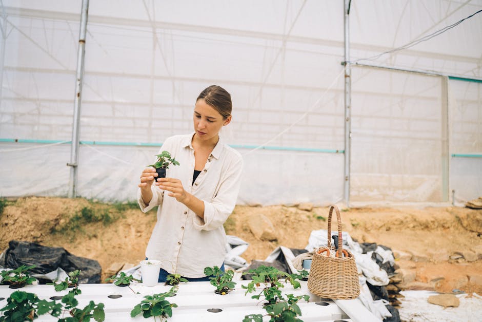 ¿Qué es la agroecología?