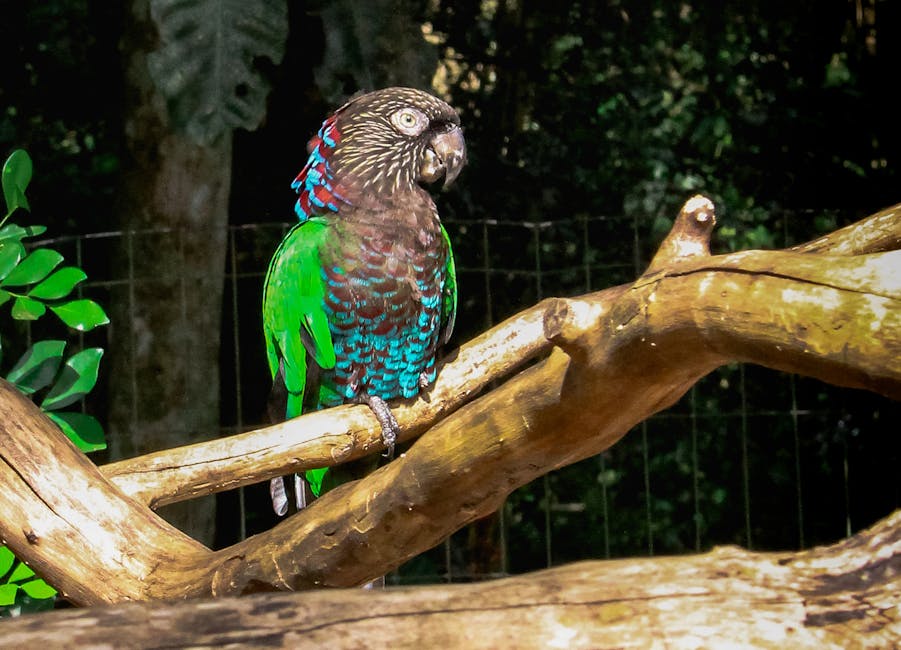 ¿Qué es la biorregión neotropical?