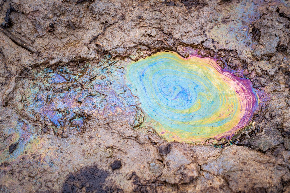 ¿Qué es la contaminación del suelo?