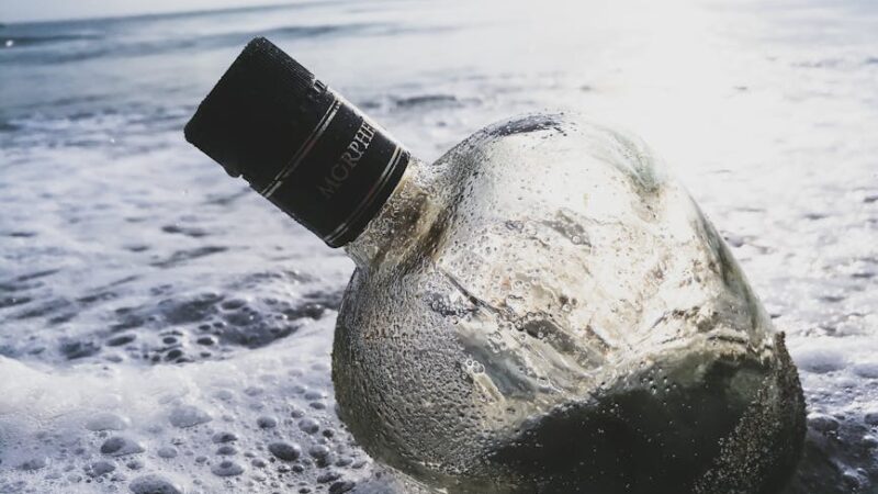 ¿Qué es la contaminación en el mar?