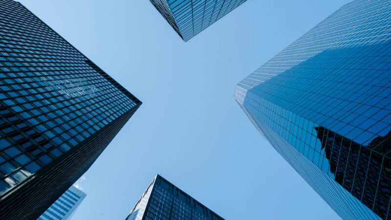 ¿Qué es la descripción de la empresa?