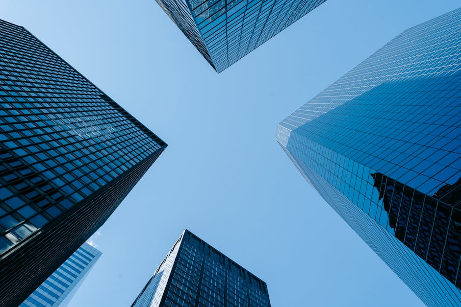 ¿Qué es la descripción de la empresa?