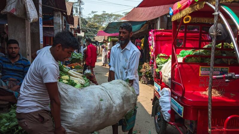 ¿Qué es la división del trabajo?
