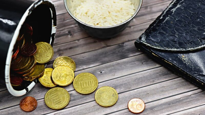 ¿Qué es la escasez económica?