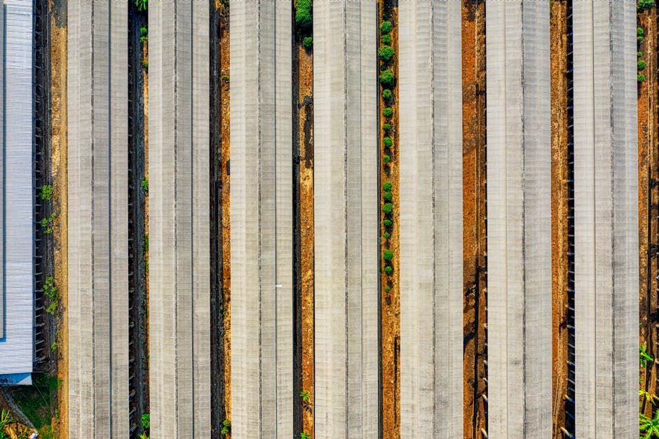 ¿Qué es la industria manufacturera?